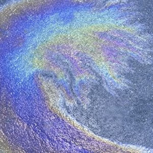Oil slick on water on pavement