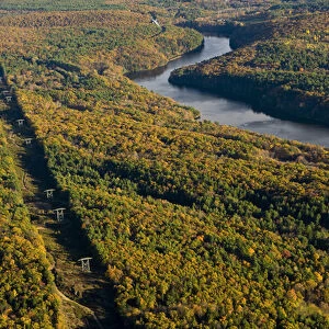 Power lines cut a swath through the forest next to the Connecticut River in Gill
