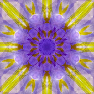 Purple and yellow kaleidoscope abstract