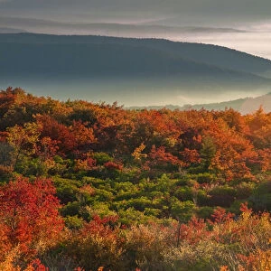 USA, West Virginia, Dolly Sods Wilderness. Sunrise on autumn landscape. Credit as