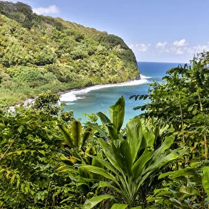 View of the coastline along the road to Hana, Maui, Hawaii