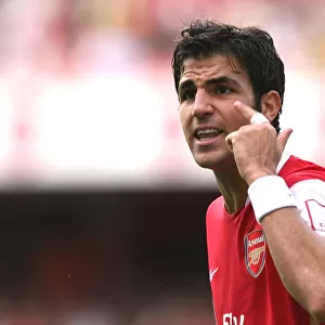 Cesc Fabregas Leads Arsenal to Glory: 2-1 Victory over Inter Milan at Emirates Cup