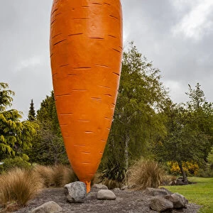 A giant carrot sculpture at Ohakune in Manawatu-Wanganui, New Zealand