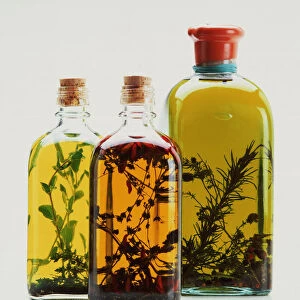 Three bottles of olive oil infused with herbs and spices
