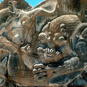 Bull and lion: Detail of carving on N wing of E stairway at palace of Persian king Xerxes I