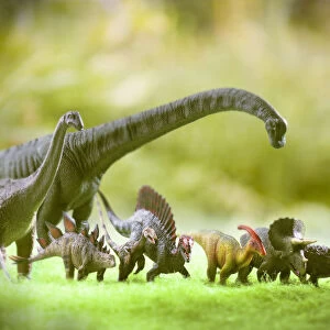 Group of toy dinosaurs in outdoor scenery