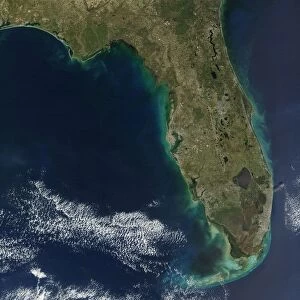 Sediments of Algal Bloom line the coast of Florida in the southern United States of America