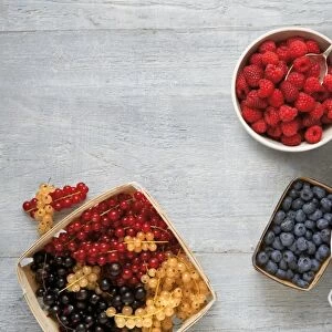 A selection of fresh berries in bowls and punnets, including strawberry, blueberry, blackcurrant, redcurrant, yellow currant, raspberry, view from above