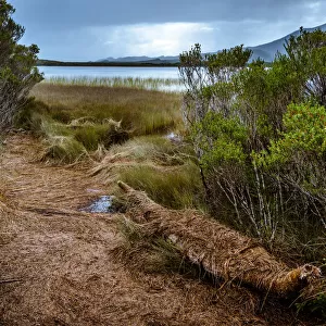 Aboriginal Canoe at Melaleuca, Southwest Tasmania