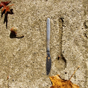 Knife embedded in concrete with spoon imprint