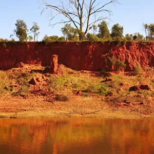 The Murrumbidgee River edge, Narrandera, New South Wales, Australia