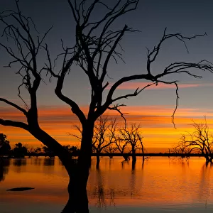 Outback Sunrise over Lake Pinaroo