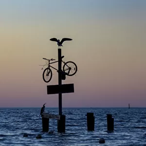 A seagull spreads its wings on a bicycle at the seaside