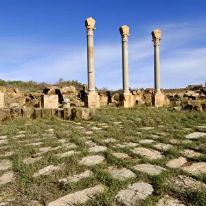 Columns with corinthian capital, Ruins of the Roman City Leptis Magna, Libya