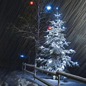 Illuminated Christmas tree in the snow, snowfall, Dreisamtal valley, Black Forest mountain range, Baden-Wuerttemberg, Germany, Europe