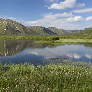 Landscape with lake in Tombstone Territorial Park, Yukon Territory, Canada