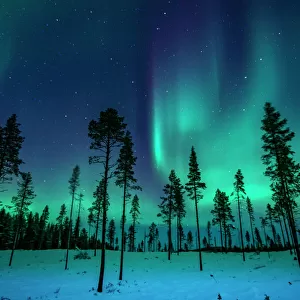 Northern Lights: A Dance of Colours