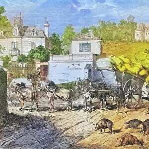 Requisitions convoy passing through Montlignon outside of Paris, illustrated war history, German, French war 1870-1871, Germany, France, Requisitions convoy passing through Montlignon outside of Paris, illustrated war history, German, French war