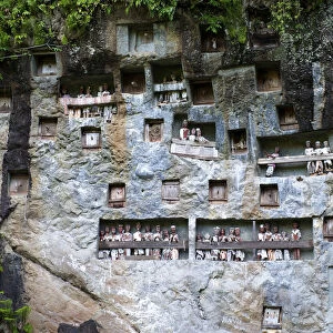 Rock tombs and gallery of ancestors of the Toraja in Lemo, near Rantepao, Sulawesi, Indonesia, Southeast Asia