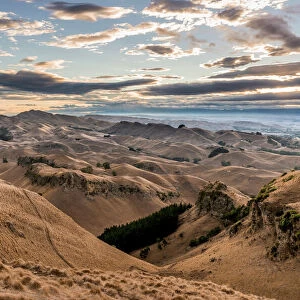 Te Mata Peak, parched landscape, evening mood, near Hastings, Hawkes Bay, North Island, New Zealand