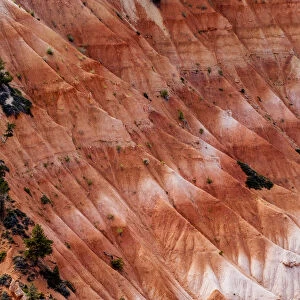 View of rock formations, Bryce Canyon National Park, Utah, USA