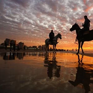 Gaza-Horses-Sunset