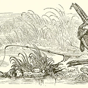 The Angler and the Little Fish (engraving)