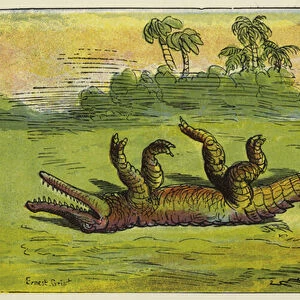 Ashanti man dragging a sleeping crocdile by the tail (colour litho)