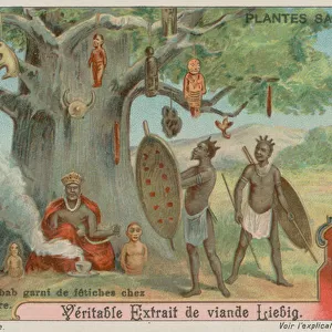 Baobab Tree hung with fetishes by an African tribe (chromolitho)