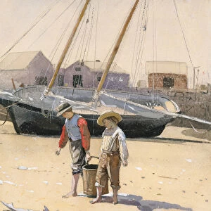 A Basket of Clams, 1873 (w / c on wove paper)