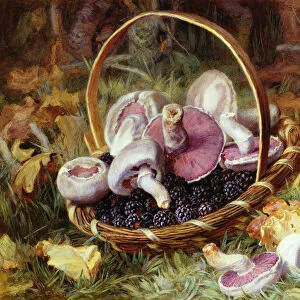 A Basket of Wild Mushrooms and Blackberries (pencil, w / c & bodycolour on paper)