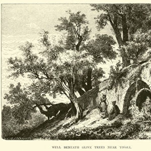 Well beneath Olive trees near Tivoli (engraving)