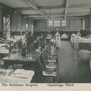 Cambridge Ward, The Middlesex Hospital, London. Postcard sent 16 August 1913