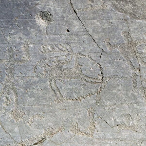 CAMUNI Deer hunting with snare, petroglyphs on Permian sandstone