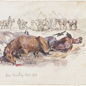Our Cavalry, Dead Horses, 1854 (pen and ink with w/c)