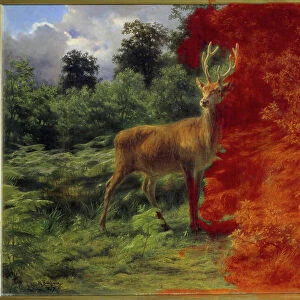 Cerf ecoutant le vent, 1867 (oil on canvas)