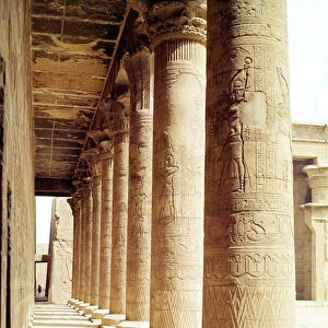 Columns in the Pronaos (Hypostyle Hall) of the Temple of Horus (photo)