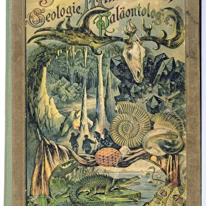Cover of Naturgeschichte, Geologie, Mineralreich, Palaontologie by Dr. H