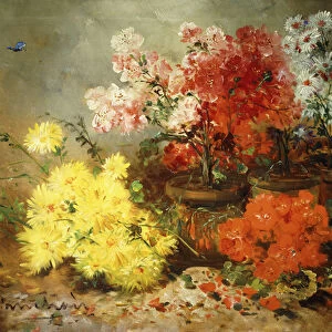 Daisies, Begonia, and Other Flowers in Pots, (oil on canvas)