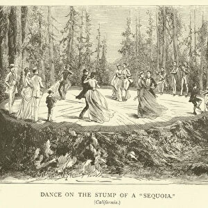 Dance on the Stump of a "Sequoia"(engraving)