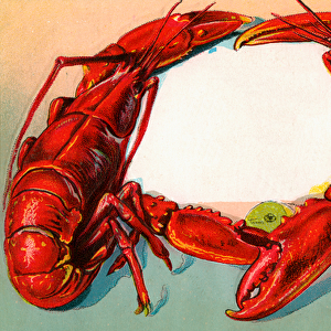 Decorative Border of Two Red Lobsters, 1912 (chromolithograph)