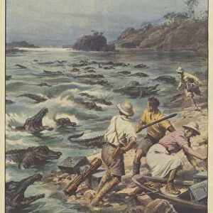 Dozens of hungry crocodiles attacked a Danish film expedition... (colour litho)