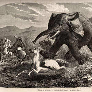An elephant ends the troop that chased him and loads the hunters on horseback