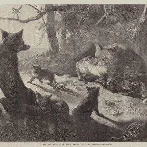 The Fox Family at Home (engraving)