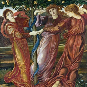 Garden of the Hesperides, 1869-73 (tempera, gouache and oil on card and canvas)
