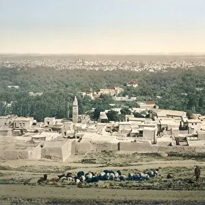 General view of Damascus, c. 1880-1900 (photochrom)