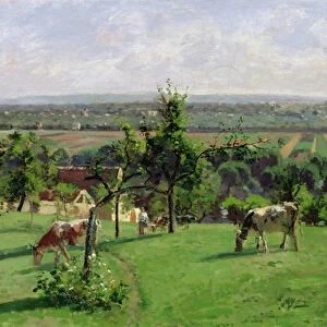 Hillside of Vesinet, Yvelines, 1871 (oil on canvas)