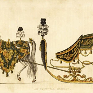 Imperial sledge or sleigh used at a party in Vienna, 1815. 1816 (engraving)