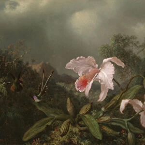 Jungle Orchids and Hummingbirds, 1872 (oil on canvas)