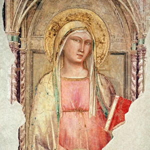Madonna del Parto (fresco)